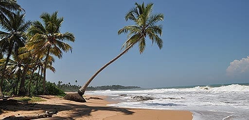 PMGY Volunteer Weekend trips in Sri Lanka at Trincomalee beach in the north during their Volunteer work in Sri Lanka