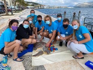 🇬🇷 While most of the world has been closed to international volunteers, the team in Greece have just rounded off a safe and successful season. 

COVID-19 has prevented most international volunteers from travelling this year but here’s proof that conservation efforts can still continue and flourish during a global pandemic. 

#pmgy #pmgygreece #pmgywildlife