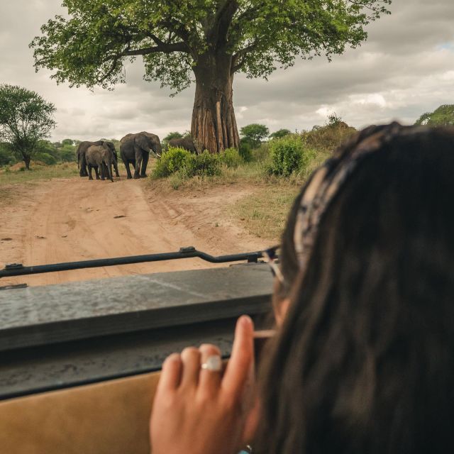 @ the person who you’d spend the day here with 😍🇹🇿🐘

#pmgy #pmgytanzania #pmgyweekends