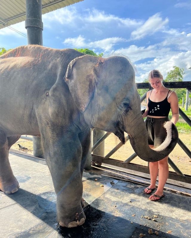 New Year's Resolution 2023: Do more things that make your passport proud 🐘🇹🇭

📍: Wildlife Friends Foundation, Thailand

#pmgy #pmgythailand #pmgywildlife