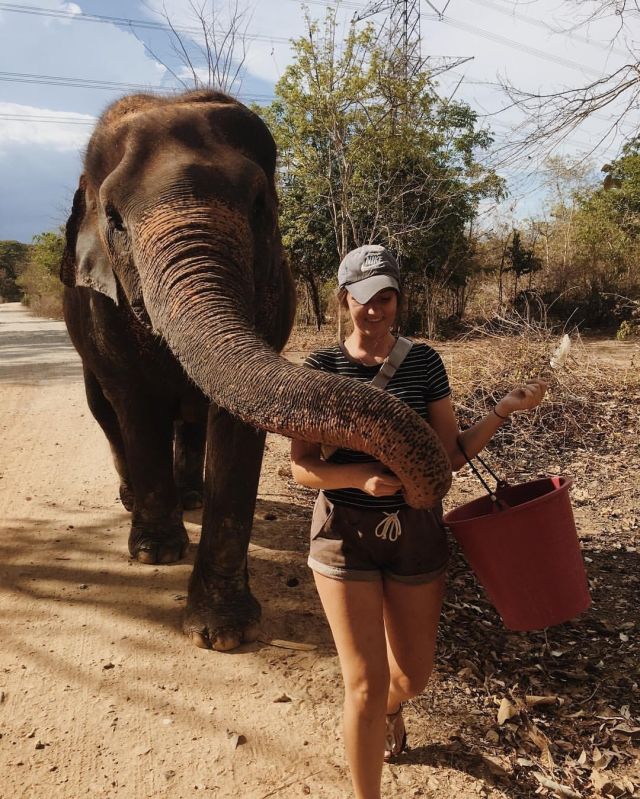 Elephants make the world a better place 🐘⁠💜⁠
⁠
#pmgy #pmgythailand