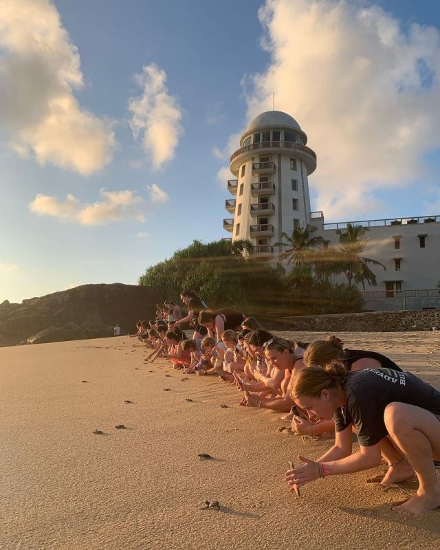 Sunset + turtle babies = turtle release evening 🌅🫶🏻⁠
⁠
Most weeks, volunteers from all projects are able to participate in a turtle release. This is due to the amount of turtle eggs which are rescued from the black market, and on hatching, are healthy enough to be released 🐢🌊 it’s always an amazing experience, and is made even better by Sri Lanka’s golden sunsets 🫶🏻⁠
⁠
#pmgysrilanka #pmgy #travel #volunteer #srilanka