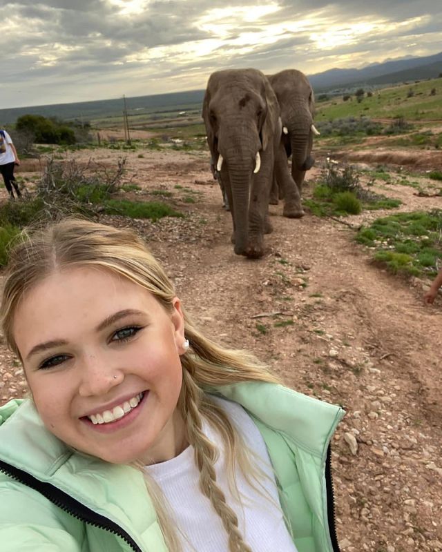 We never need a reason to share photos of Elephants, talk about Elephants, think about Elephants… 🐘🥺

However, in light of World Elephant Day tomorrow we figured we may as well use this as an excuse to post about these incredible animals and to share our appreciation to be able to witness their beauty in South Africa on the regular. 🇿🇦 

#planmygapyear planmygapyear #pmgywildlife #pmgysouthafrica #worldelephantday