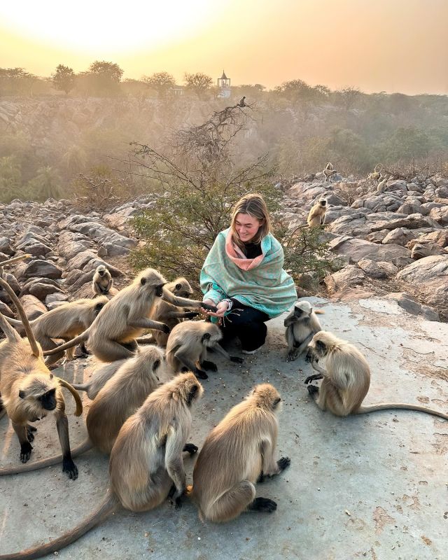 ✨Monkey temple✨This is a must when staying at the volunteer house! You can feed the monkeys with bread and nuts! They are absolutely adorable and super friendly! It’s just a short drive from the volunteer house😍😍

@planmygapyear #pmgy #planmygapyear #pmgyindia #india