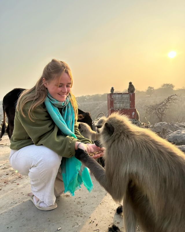 Evening activity - Monkey temple 😍 This is a true highlight! Feed monkeys from you hand and soak up this incredible experience ☀️ 

@planmygapyear #pmgy #pmgyindia #pmgywildlife #india #volunteer